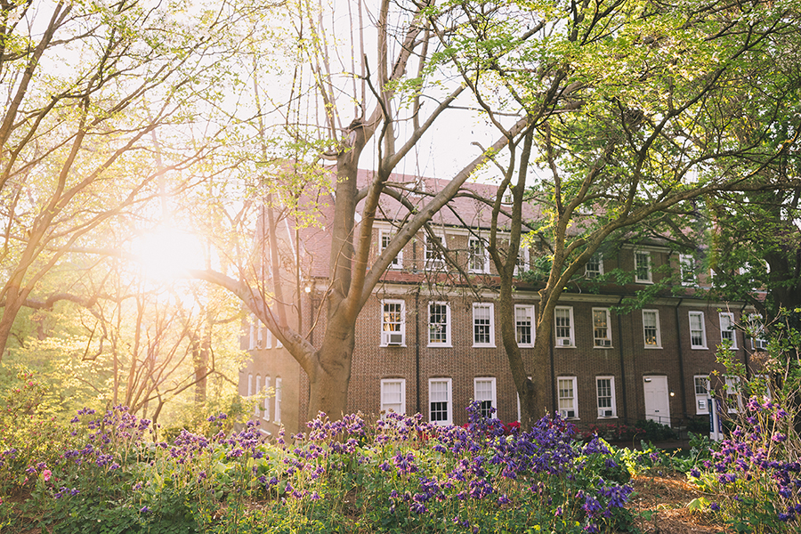 Photo of a brick building with morning sunshine shining through the trees, with purple flowers in the foreground.