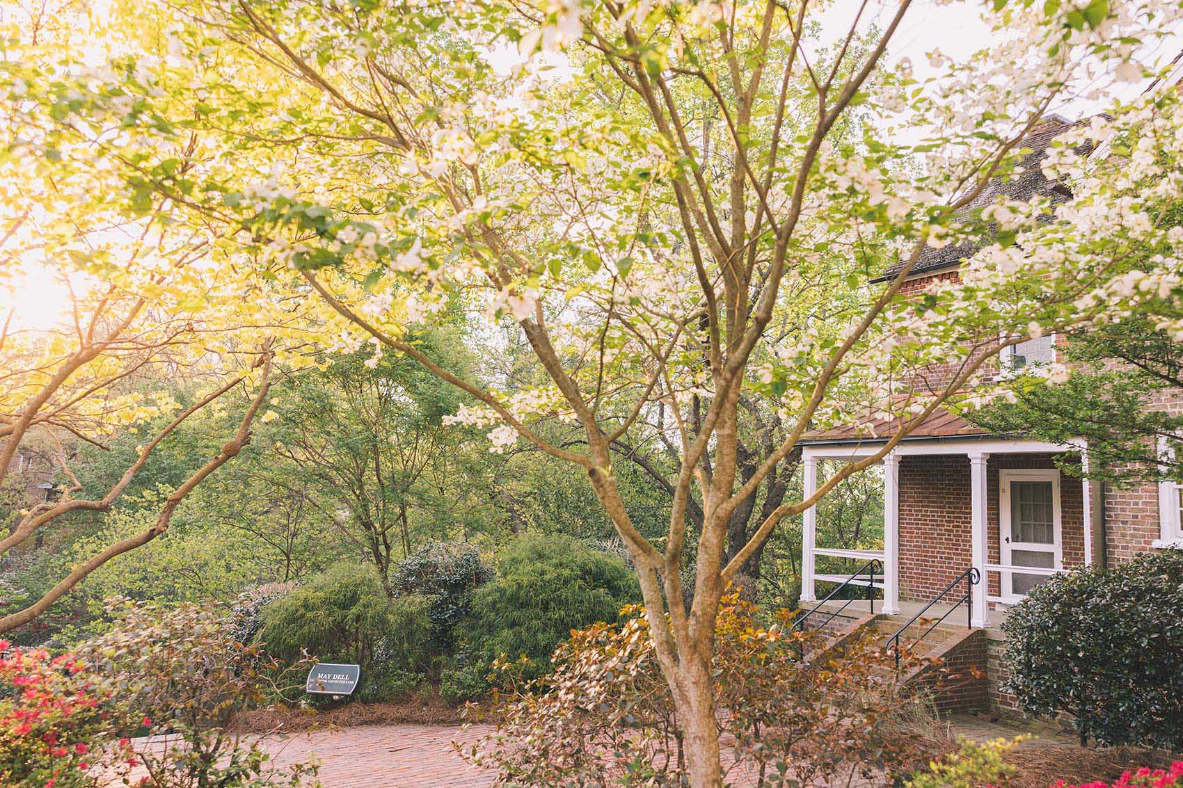 salem building with trees