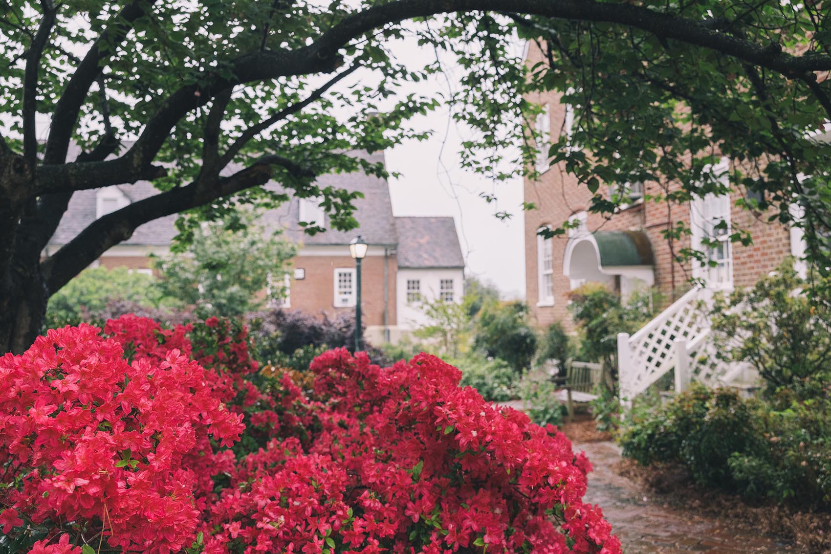 flowers outside of building